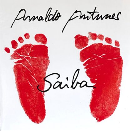 Arnaldo Antunes – Saiba