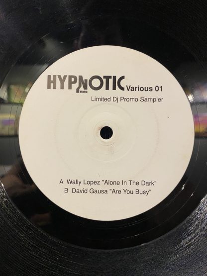 Wally Lopez / David Gausa – Hypnotic Sampler 1 - Image 4