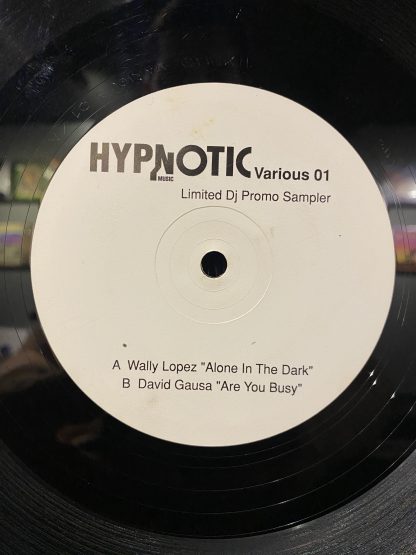 Wally Lopez / David Gausa – Hypnotic Sampler 1 - Image 5